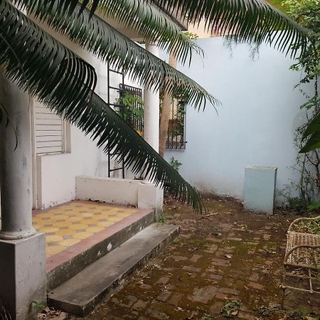 Apartament Devon Estate Kingston Zewnętrze zdjęcie